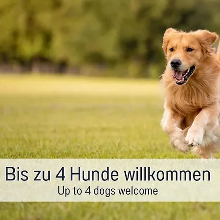 Holiday home Traum Burghalde